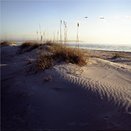 beach in ponce inlet, florida